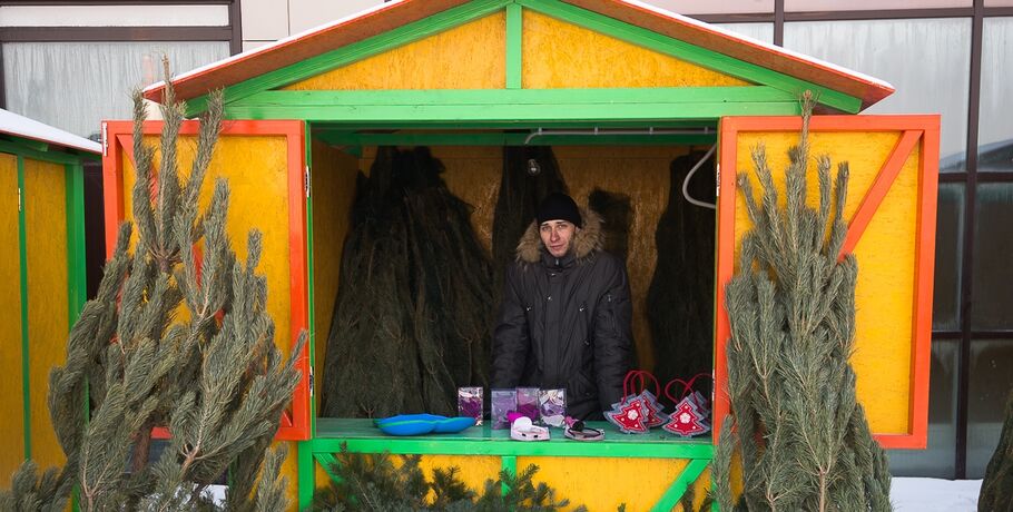 В Омске увеличилось количество ёлочных базаров