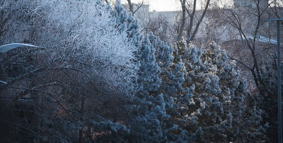 В Омске закончится снег и начнёт холодать