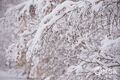 В Омске навалило снега как за 10 дней