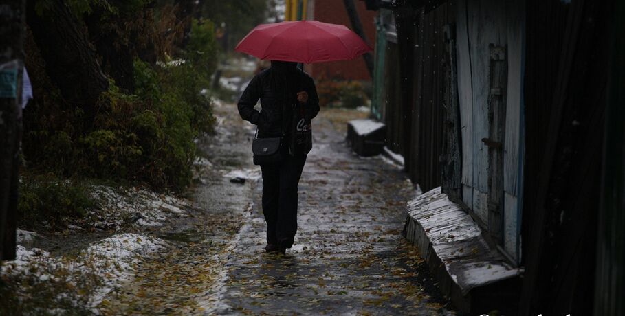 Январский дождь прогнозируют омские синоптики