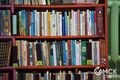 Омская библиотека вызывает на книжный челлендж