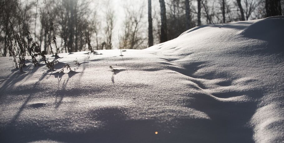 Снег и гало: смотрим, каким было утро в Омске