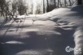 Снег и гало: смотрим, каким было утро в Омске