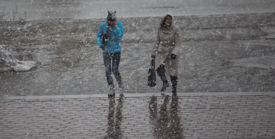 Снег, метель, плюсовая температура обрушатся на Омскую область в один день