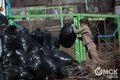 Найденное кольцо с бриллиантами и 400 мешков мусора: в Омске прошли "Чистые игры 2021"