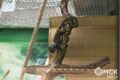 Беби-бум в омском зоопарке: смотрим и умиляемся