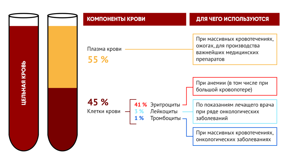 Какими цифрами обозначены изображения крови