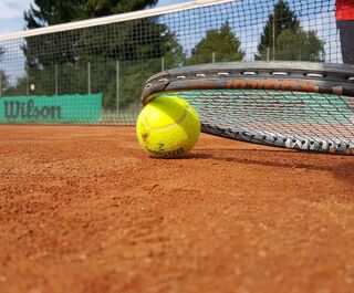 В Омске развернётся турнир за кубок Федерации тенниса