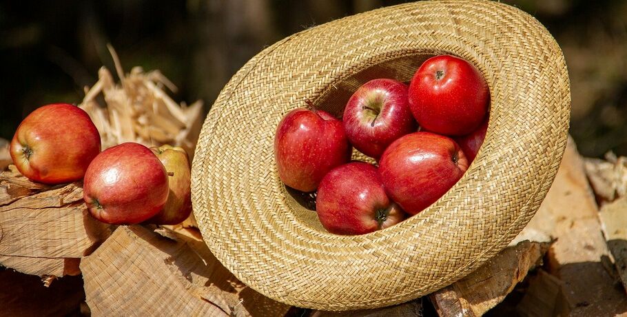 Шесть блюд из яблок, которые стоит попробовать