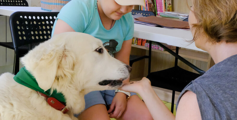 В Новосибирске центр помощи детям назвали в честь омской собаки