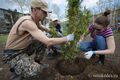 Омичам предлагают собственными руками высадить лес