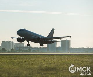Самолёты между Омском и Новосибирском будут летать чаще