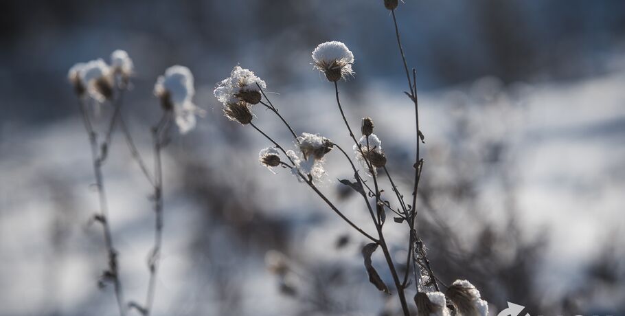 После снегопада в Омскую область идут морозы до -20 градусов