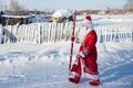 Превращаем новогодние каникулы в экопраздники