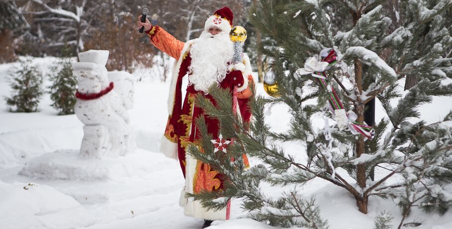 В Омске на охраняемой территории открылась резиденция Деда Мороза