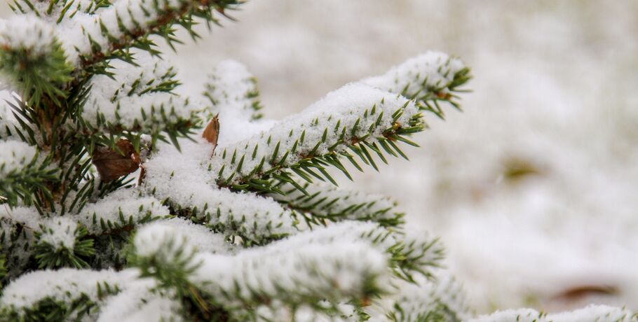 Потепление принесёт в Омск мокрый снег и гололёд