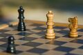 Омский шахматист стал седьмым на чемпионате мира по блицу