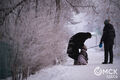 Омск запорошит снегом Омск запорошит снегом