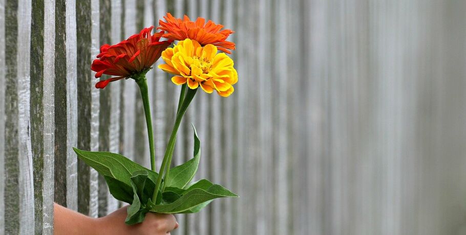 Цветочный этикет: как правильно дарить цветы