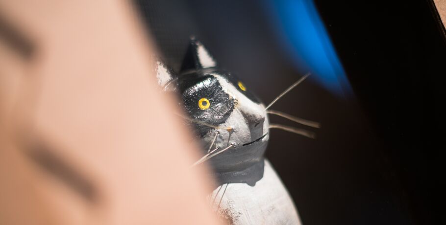 Эрмитажный котик из омского музея им. Врубеля обзавёлся семьёй