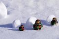 Широкая Масленица: снежки, игры и костёр