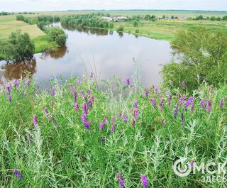 Танцы босиком и поцелуйные игры. Чем ещё удивит культура Сибири