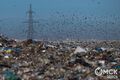 7 фактов об омском мусоросортировочном заводе