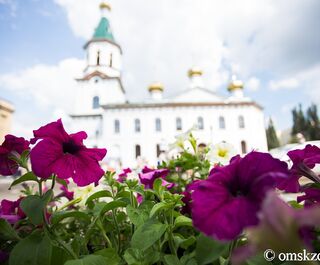 Посетить закулисье театров и музейные хранилища. Для омичей проведут более ста экскурсий в один день