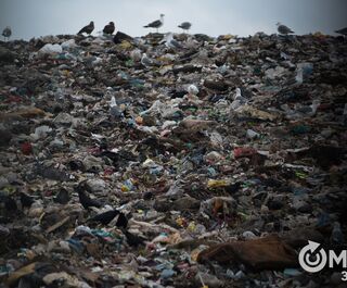 Свой мусорный полигон у Омска появится не раньше 2024 года