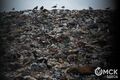 Свой мусорный полигон у Омска появится не раньше 2024 года