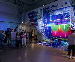 Экопроект из Сибири открыл текстильную арт-инсталляцию в защиту рек России