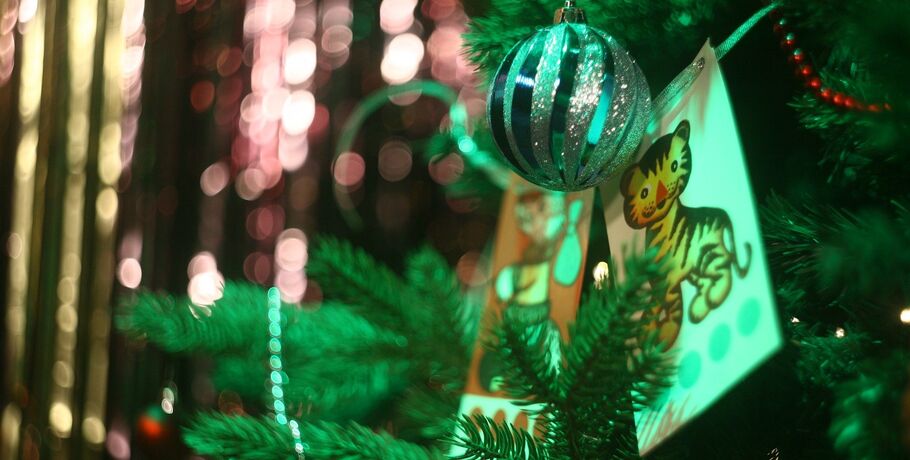Омский цирк просит омичей о помощи в подготовке новогоднего сюрприза