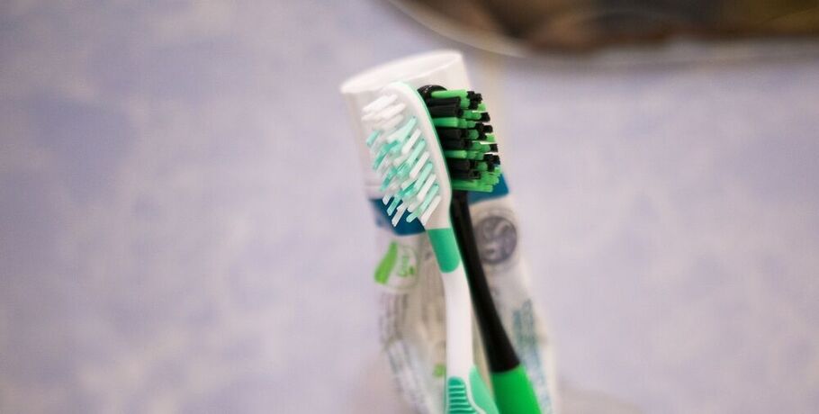 Отслужившая зубная щётка может помочь благоустройству парка