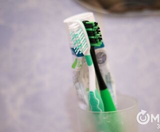 Отслужившая зубная щетка может помочь благоустройству парка
