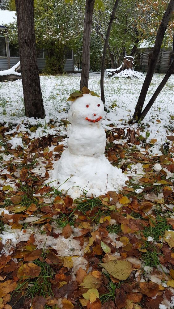 Снеговик из снега: как слепить своими руками. Как слепить снеговика или снежную бабу из снега