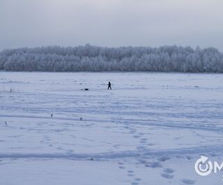 Новый виток потепления в Омске придётся на выходные