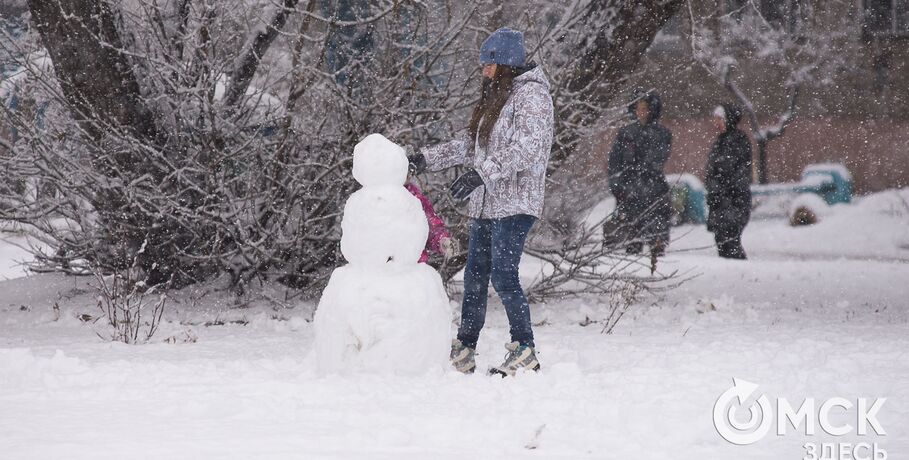 За сутки в Омске выпало снега, как за две недели