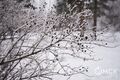 Мокрый снег, гололёд, похолодание: в Омске за сутки испортится погода