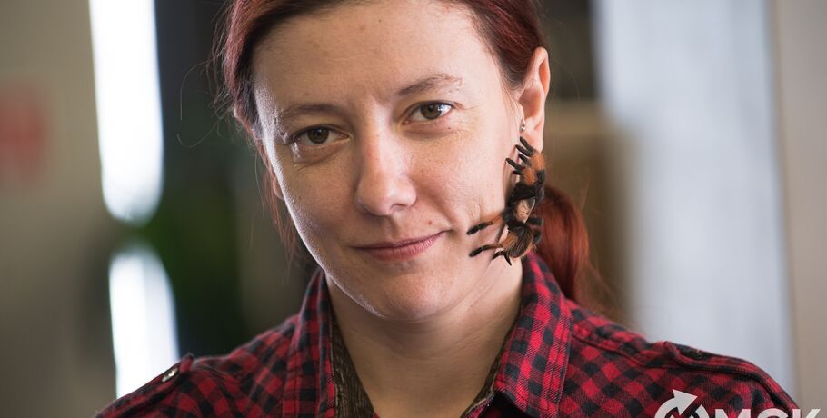 Заводчица пауков и тараканов: "Общение с ними вызывает яркие эмоции"