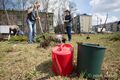 В Омской крепости посадят пихты и липы