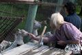 В Большереченском зоопарке случился беби-бум