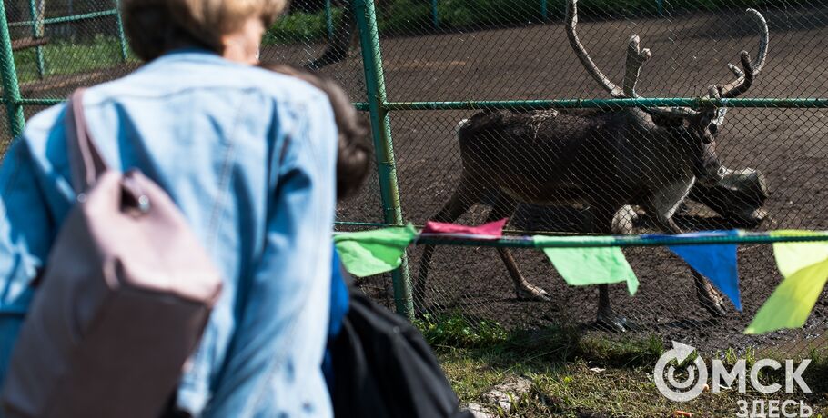В Большереченском зоопарке стартовал конкурс по выбору имени для оленят
