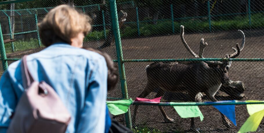 В Большереченском зоопарке выбрали имена для северных оленят