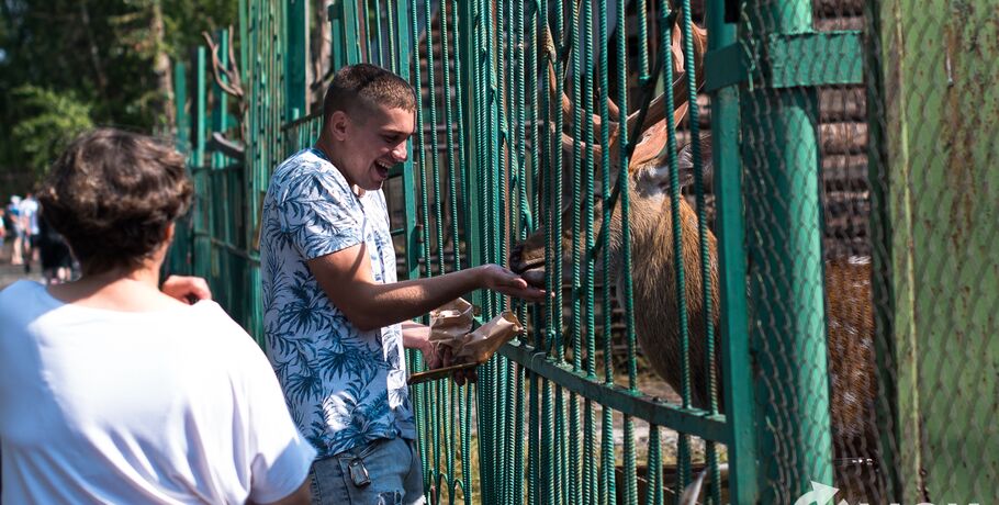 Омский зоопарк будет избавляться от посетителей, подкармливающих животных