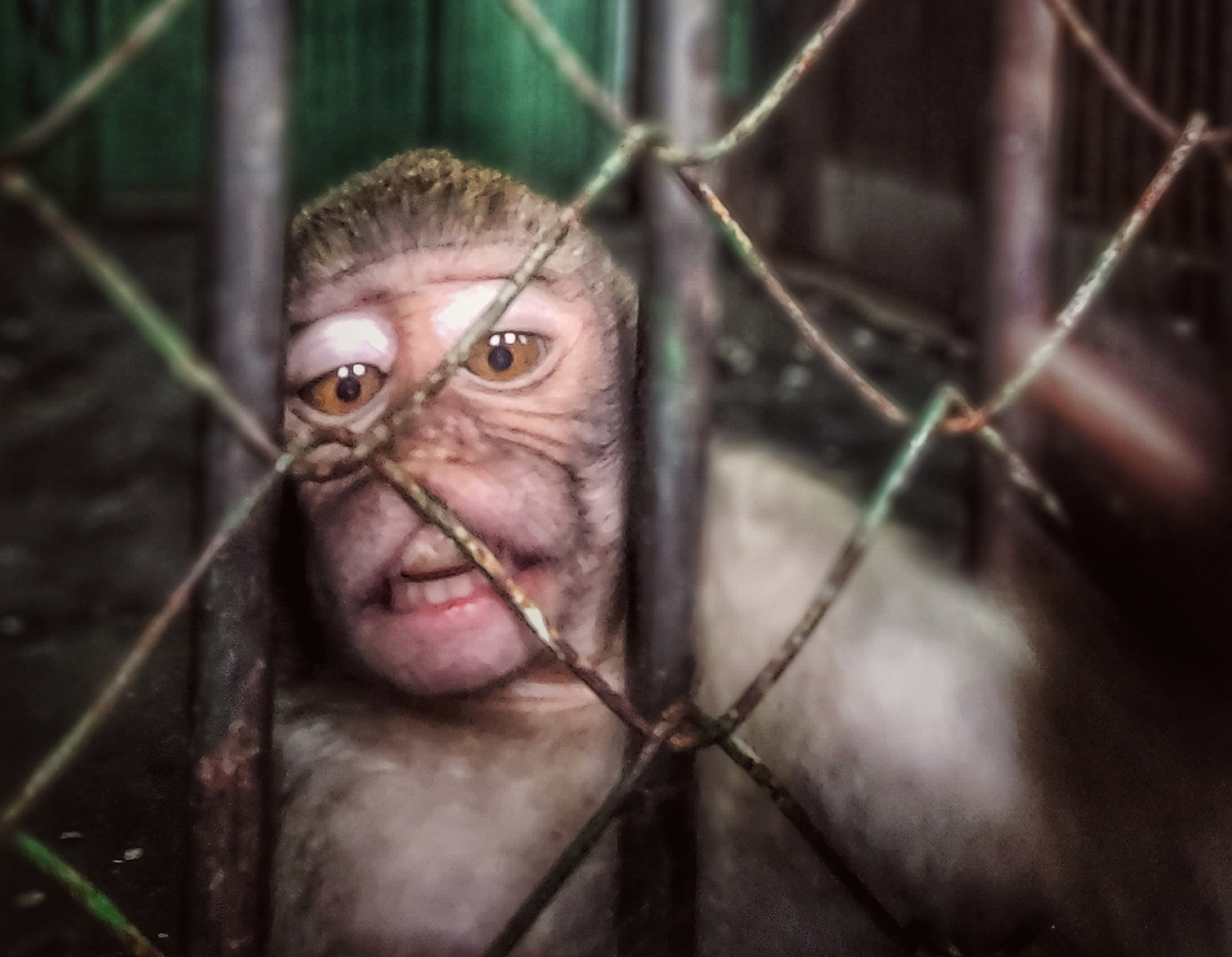 Новый балийский тренд отпускной фотографии!!! Селфи обезьянки!