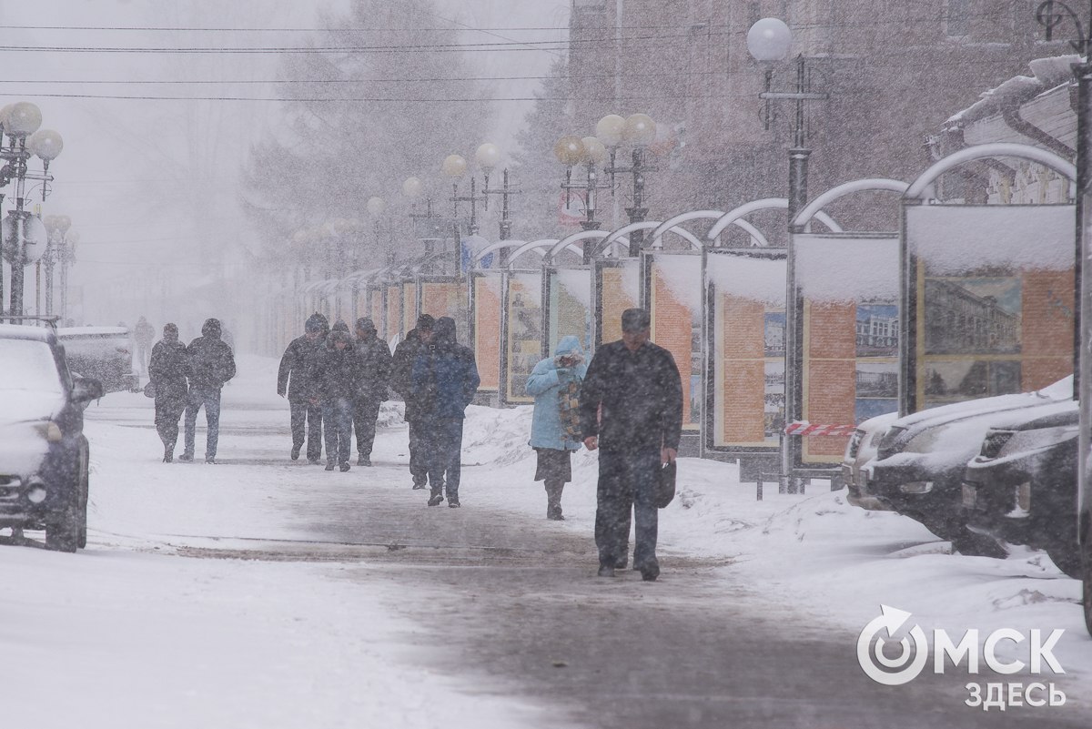 Сильная метель нагрянет в Омск - Общество