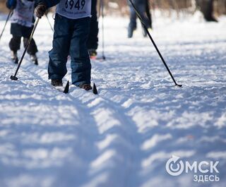 В Омске стартовала регистрация на "Лыжню России"