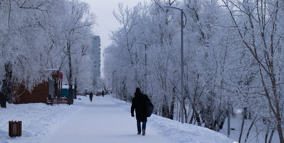 Весна не близко: в Омск нагрянули 20-градусные морозы