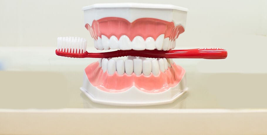 Ловим кайдзен: зубам нужна не только щётка