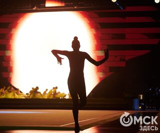 Энергия гимнасток. В Омске в третий раз прошёл Международный турнир EVGENIYA CUP-2024